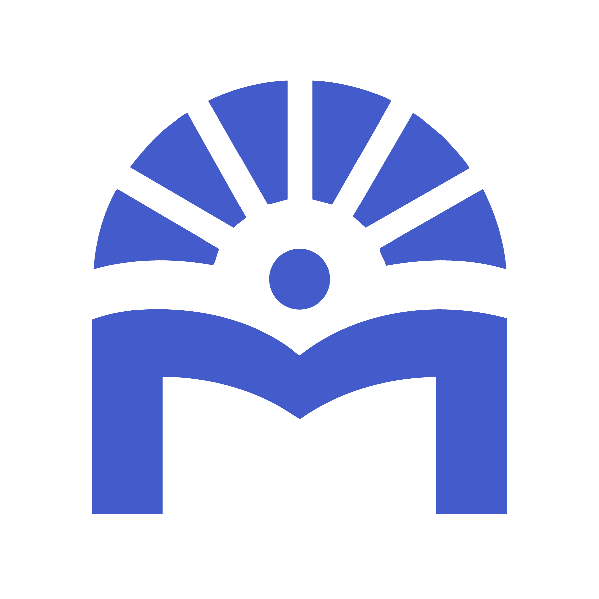 DSM Logo